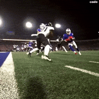 Buffalo Bills Nfl GIF