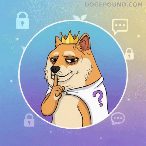 Be Quiet Question Mark GIF by Doge Pound