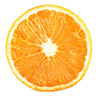 Orange Sticker by Nit Models Agency