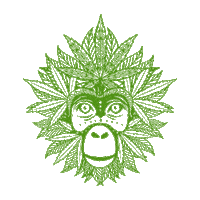 greenmonkeycbd football drink green cheers Sticker