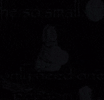 Spongebob Plankton GIF