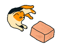 Cat Jump Sticker