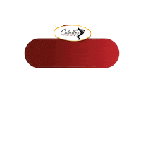 Sticker by Cabello Perfecto