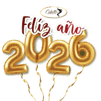 Happynewyear Sticker by Cabello Perfecto