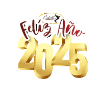 Happynewyear Sticker by Cabello Perfecto