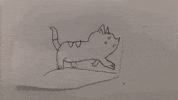 nscad GIF