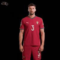 Cristiano Ronaldo Portugal GIF by Respective