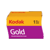 Film Photography Sticker by Kodak Professional