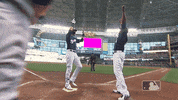 Milwaukee Brewers Sport GIF by MLB