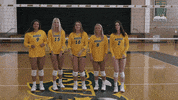 Volleyball Bison GIF by NDSU Athletics
