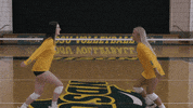 Volleyball Bison GIF by NDSU Athletics