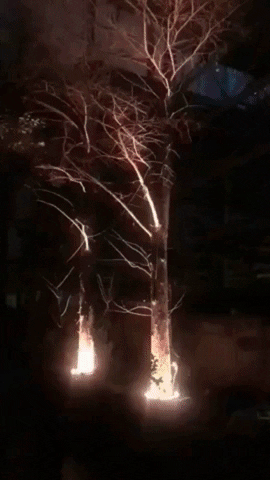 OneTreeHydroponics giphygifmaker outdoor led tree lighting spotlight 2 GIF