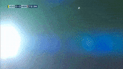 GIF by FOX Sports