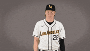 Baseball Calstatela GIF by Cal State LA Golden Eagles