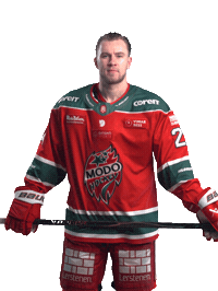 Sticker by MoDo Hockey