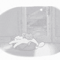 Funny Cat Lol GIF by Simon's Cat