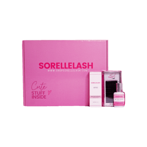 sorellelash giphyupload lashes lash extensions lash artist Sticker