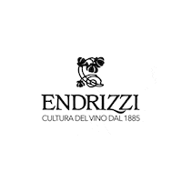 Wine Vino Sticker by Endrizzi