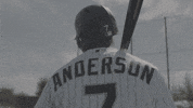 Major League Baseball GIF by MLB