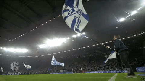 Veltins Arena Football GIF by FC Schalke 04