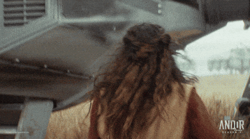 Cassian Andor GIF by Star Wars