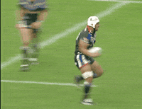 Smash Rugby League GIF by NZWarriors