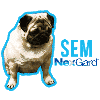 Sticker by Nexgard Brasil