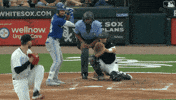 Home Run Baseball GIF by Toronto Blue Jays