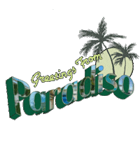 Palm Tree Summer Sticker by Shop 437