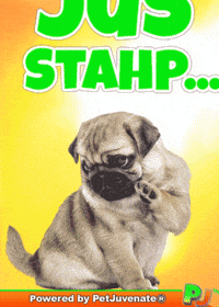 Dog Talk GIF by PetJuvenate - PJ