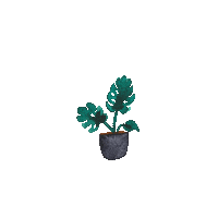 Plant Monstera Sticker by Elowyn