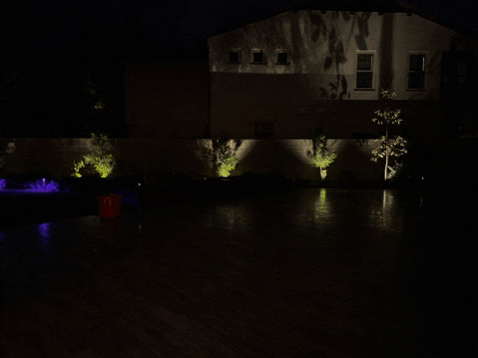 amberoclights giphygifmaker GIF