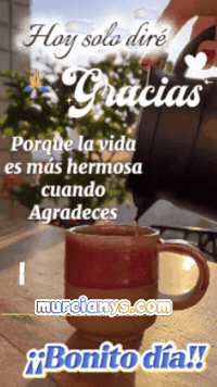 La Vida Gracias GIF by Murcianys LLC
