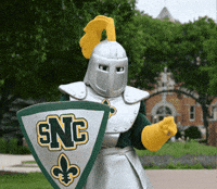 Dance Mascot GIF by St. Norbert College