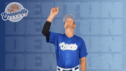 Baseball Point Up GIF by Evansville Otters