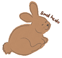 Bunny Hello Sticker by Little Blue Fairy