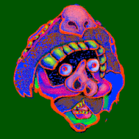 pop art loop GIF by Dax Norman
