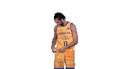 Liga Endesa Basketball Sticker by ACB