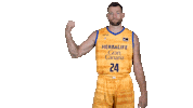 Liga Endesa Basketball Sticker by ACB