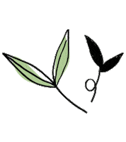 Minimalist Marianitelli Sticker