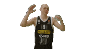 Partizan Sticker by sportmts