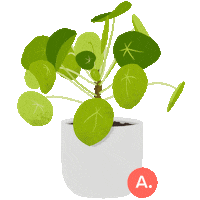 articlemodern plant plants leaf article Sticker