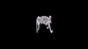 revengegallery revengegallery revengeoffical GIF
