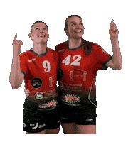 HSGHoKro top handball kiel holstein kiel Sticker