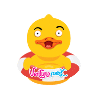 Fun Sorpresa Sticker by VenturaPark Cancun