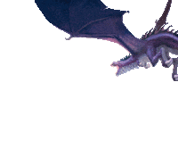 Drachenland Sticker by Game Factory