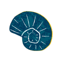 Shell Snail Sticker by UC Davis Coastal and Marine Sciences Institute