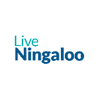 LiveNingaloo humpback whale exmouth ningaloo whalesharks Sticker
