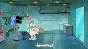 season 9 episode 25 GIF by SpongeBob SquarePants