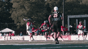 bostoncannons cannons mll major league lacrosse professional lacrosse GIF